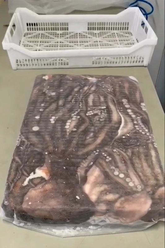 Caja de rejilla para exposición y almacenaje de productos pescadería