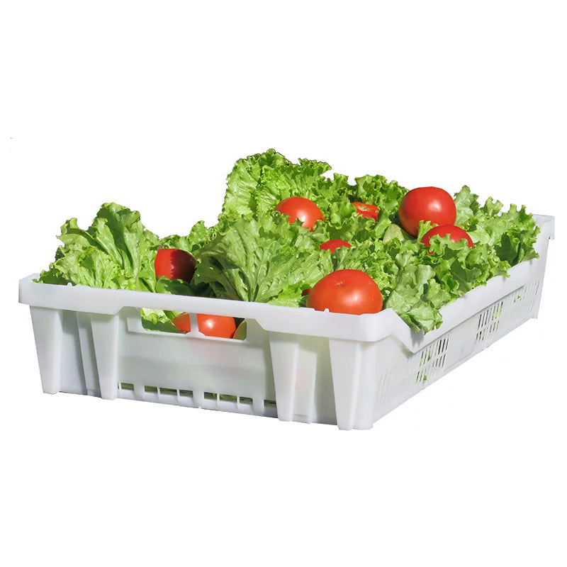 CAJA DE REJILLA  - Desde 8.34€! Disponible ahora en ProxyMarket