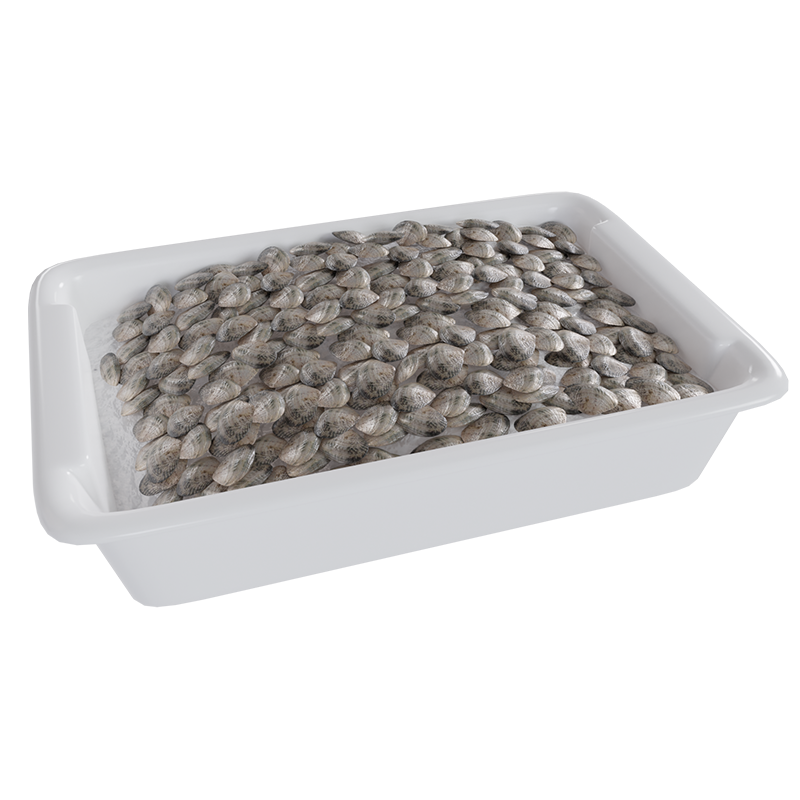 CUBETA PLANA - Premium Cubeta from ProxyMarket - Just 13.05€! Shop now at ProxyMarket