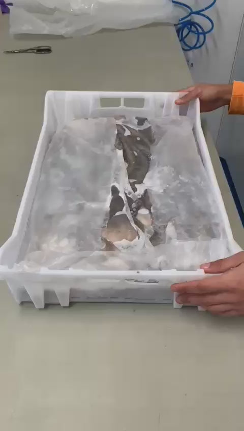 CAJA PARA CONGELADOS PROXYMARKET